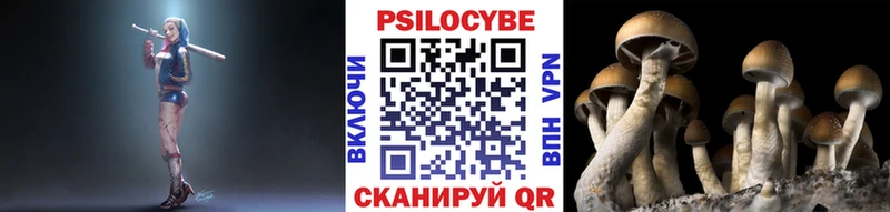 это как зайти  Красавино  Псилоцибиновые грибы прущие грибы 